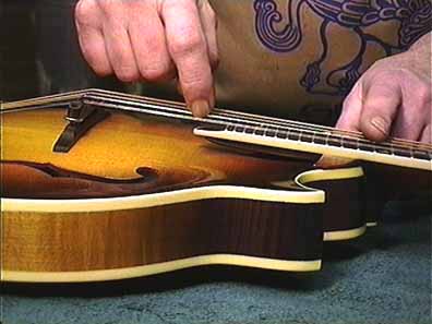 Mandolin, Stringed, Fretted, Plucked